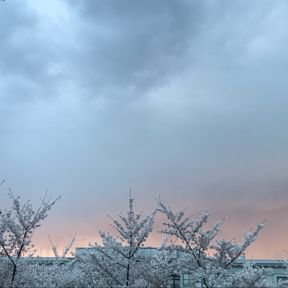 Meet your Posher, Eve